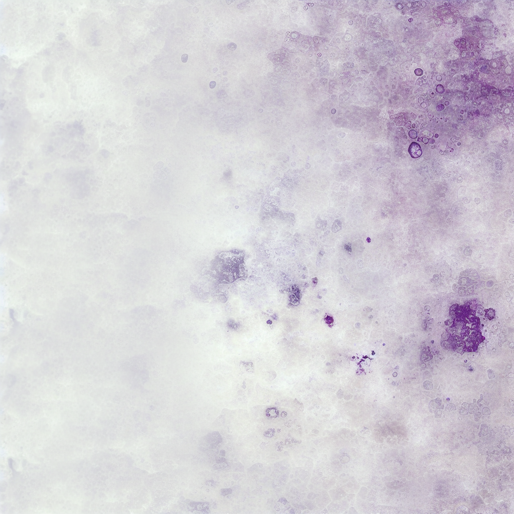 Background image with dimensions 600x800, excluding text, navigation bars, search boxes, logos, and buttons.